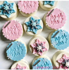 "HE OR SHE 320" Embosser