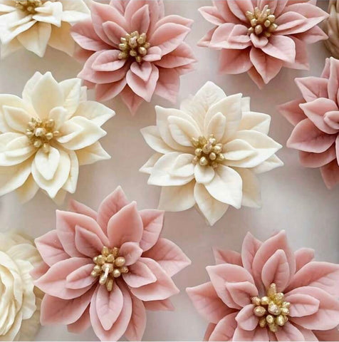 Single Poinsettia Flower