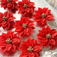 Single Poinsettia Flower