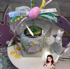 SPRING Themed Plungers