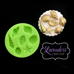 Seashells 3