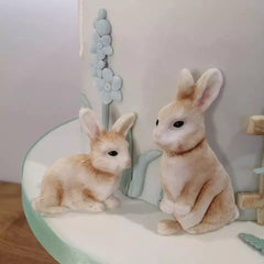 Rabbit Duo