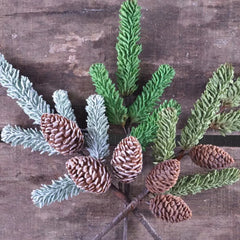 Foliage Leaves Variety