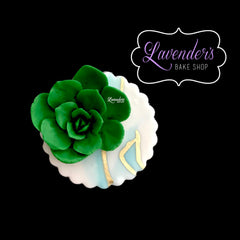 Succulent Plant