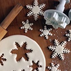 SNOWFLAKE Themed Plungers