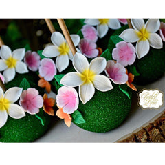 Plumeria Flower Trio