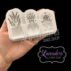 TRENDY Succulent Plants Trio
