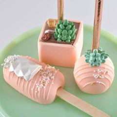 TRENDY Succulent Plants Trio