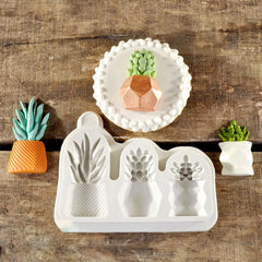 TRENDY Succulent Plants Trio