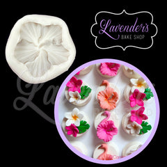 Hibiscus Flower