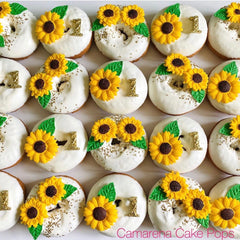 Sunflower Variety