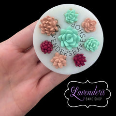 MINI Succulents Multi